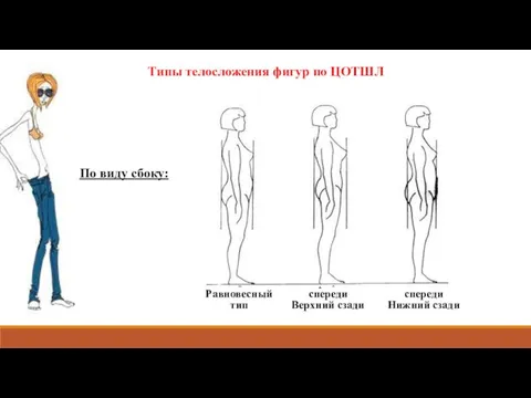 Типы телосложения фигур по ЦОТШЛ Равновесный тип Верхний спереди Верхний сзади Нижний