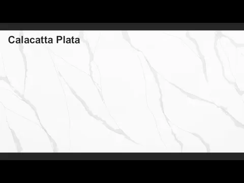Calacatta Plata