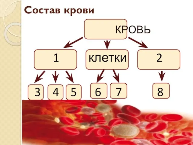 Состав крови КРОВЬ 1 клетки 2 3 4 5 6 7 8