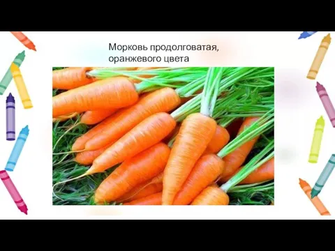 Морковь продолговатая, оранжевого цвета