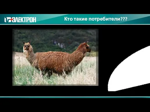 Кто такие потребители??? Потребитель подобен Тяни-Толкаю, поставленному в жесткие рамки.