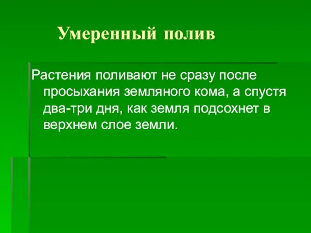 Умеренный полив Растения поливают не сразу после просыхания земляного кома, а спустя