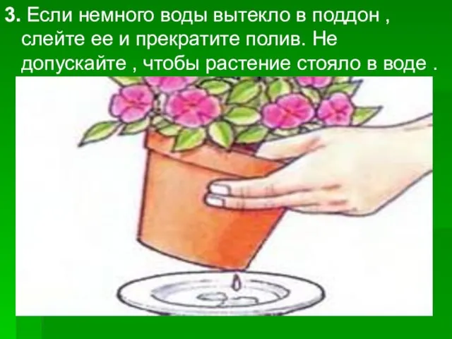 3. Если немного воды вытекло в поддон , слейте ее и прекратите