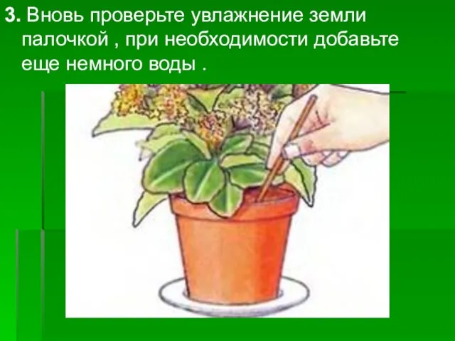 3. Вновь проверьте увлажнение земли палочкой , при необходимости добавьте еще немного воды .