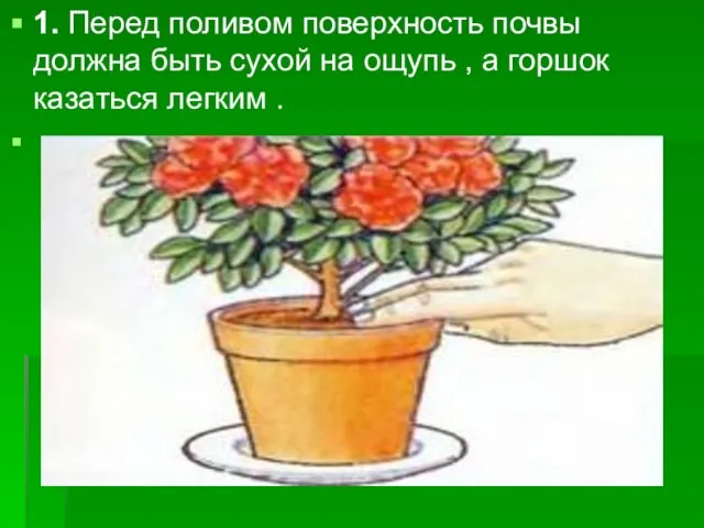 1. Перед поливом поверхность почвы должна быть сухой на ощупь , а горшок казаться легким .