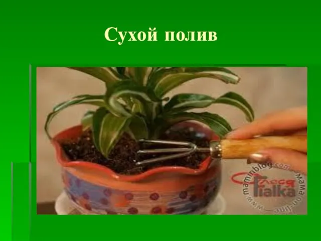 Сухой полив