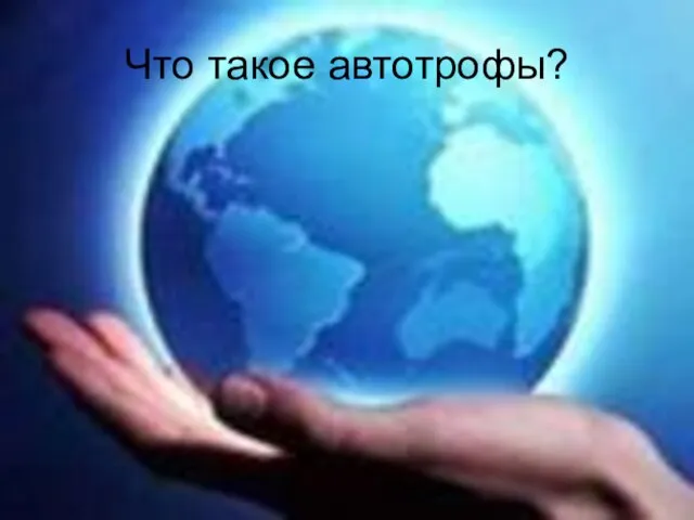 Что такое автотрофы?