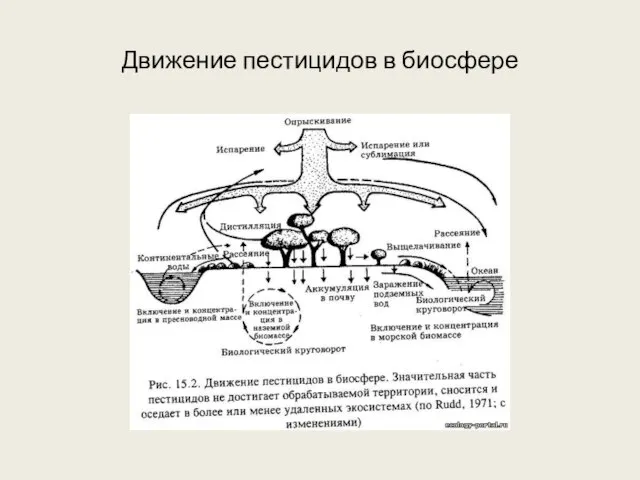 Движение пестицидов в биосфере