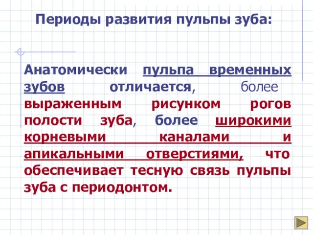 Периоды развития пульпы зуба: Анатомически пульпа временных зубов отличается, более выраженным рисунком