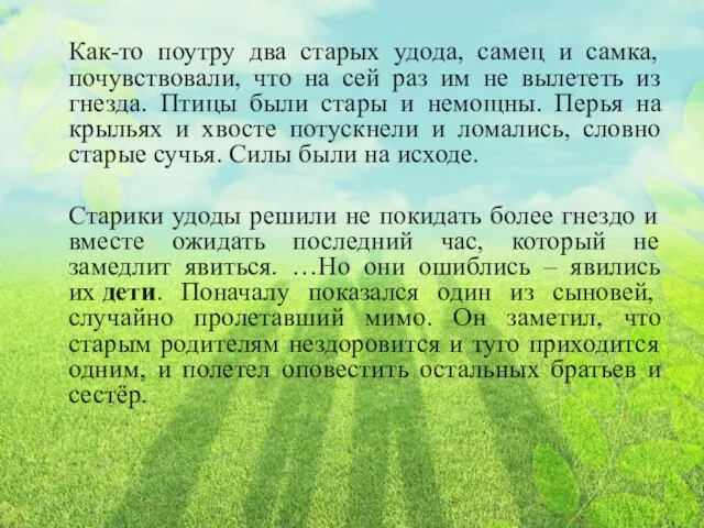 Как-то поутру два старых удода, самец и самка, почувствовали, что на сей