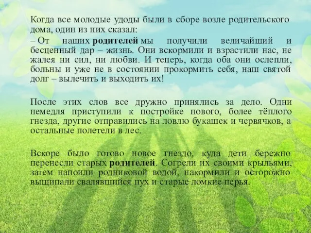 Когда все молодые удоды были в сборе возле родительского дома, один из