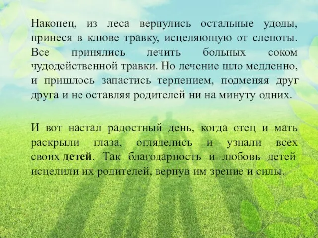 Наконец, из леса вернулись остальные удоды, принеся в клюве травку, исцеляющую от