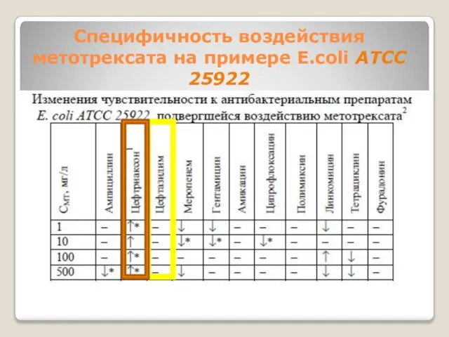 Специфичность воздействия метотрексата на примере E.coli ATCC 25922