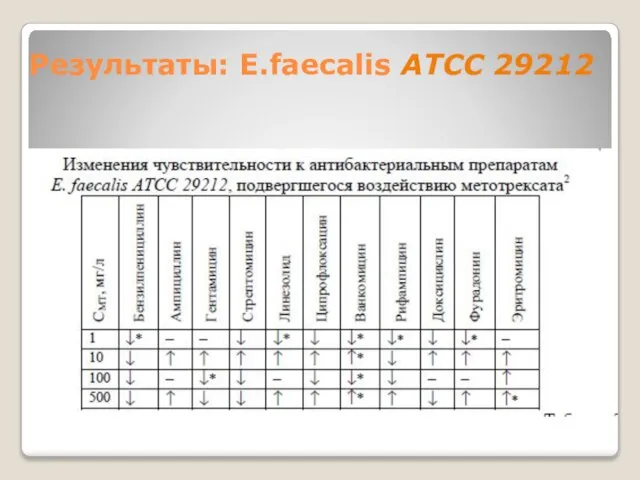 Результаты: E.faecalis ATCC 29212