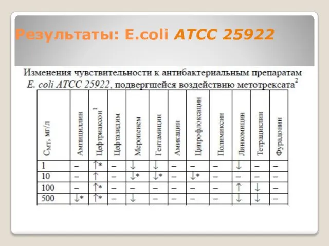 Результаты: E.coli ATCC 25922