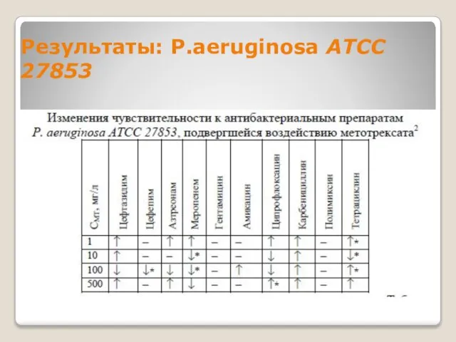 Результаты: P.aeruginosa ATCC 27853