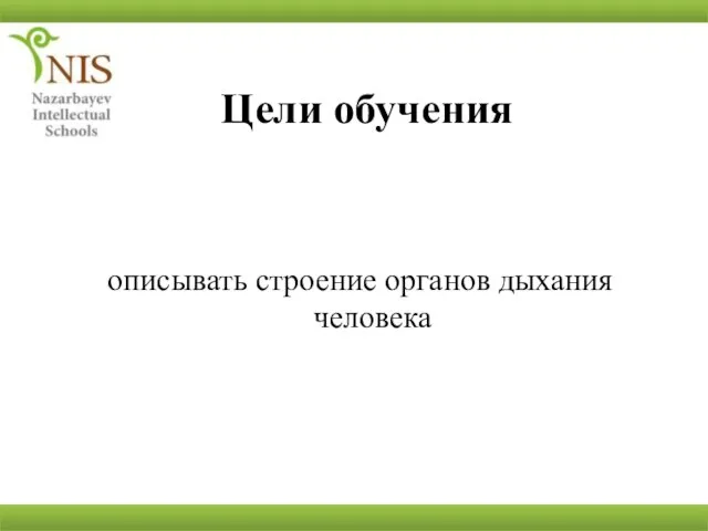 Цели обучения описывать строение органов дыхания человека