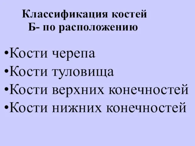 Классификация костей Б- по расположению Кости черепа Кости туловища Кости верхних конечностей Кости нижних конечностей