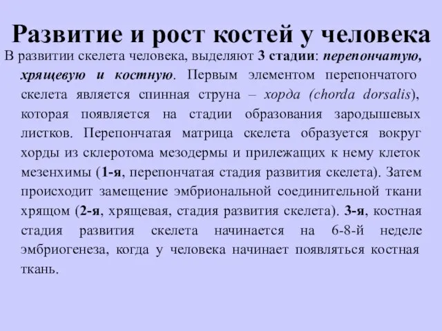 Развитие и рост костей у человека В развитии скелета человека, выделяют 3