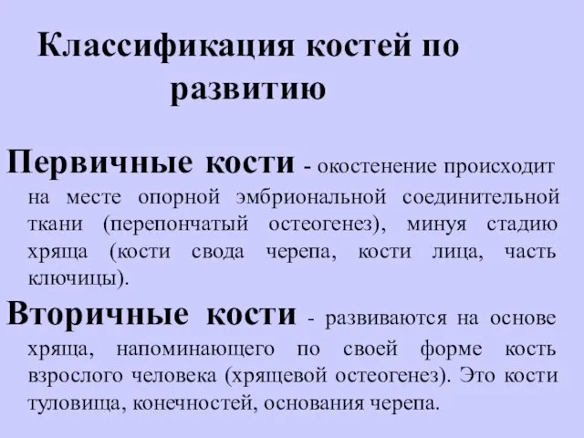 Классификация костей по развитию Первичные кости - окостенение происходит на месте опорной