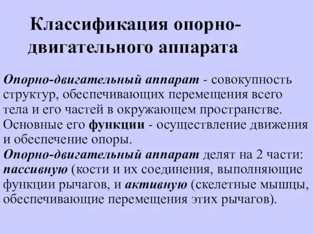 Классификация опорно-двигательного аппарата Опорно-двигательный аппарат - совокупность структур, обеспечивающих перемещения всего тела