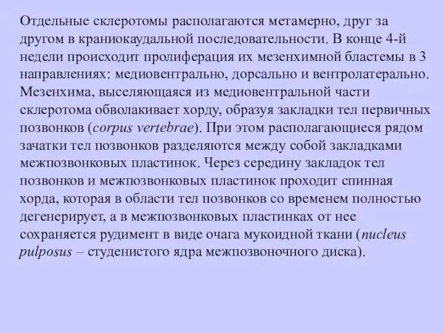 Отдельные склеротомы располагаются метамерно, друг за другом в краниокаудальной последовательности. В конце