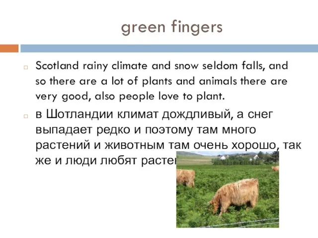 green fingers Scotland rainy climate and snow seldom falls, and so there