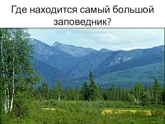 Где находится самый большой заповедник?