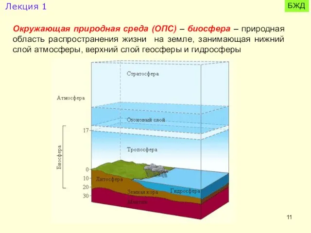 Окружающая природная среда (ОПС) – биосфера – природная область распространения жизни на