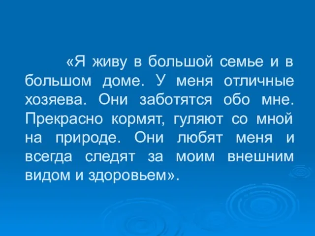 «Я живу в большой семье и в большом доме. У меня отличные