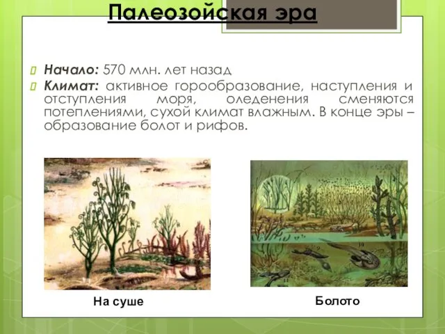 Палеозойская эра Начало: 570 млн. лет назад Климат: активное горообразование, наступления и