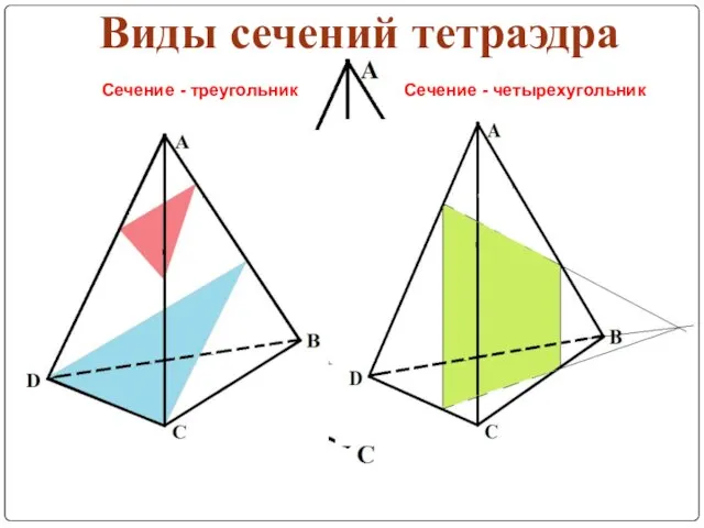 Виды сечений тетраэдра