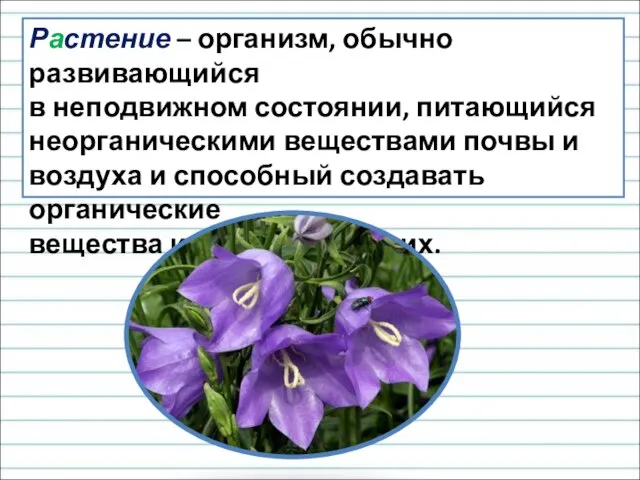 Растение – организм, обычно развивающийся в неподвижном состоянии, питающийся неорганическими веществами почвы