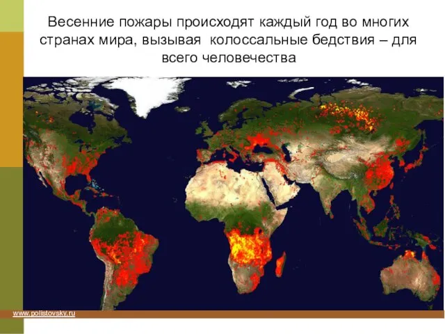 Весенние пожары происходят каждый год во многих странах мира, вызывая колоссальные бедствия – для всего человечества