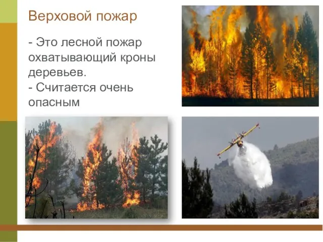 Верховой пожар - Это лесной пожар охватывающий кроны деревьев. - Считается очень опасным