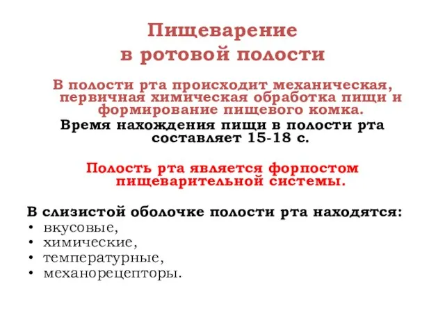 Пищеварение в ротовой полости В полости рта происходит механическая, первичная химическая обработка