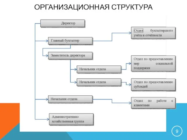 ОРГАНИЗАЦИОННАЯ СТРУКТУРА