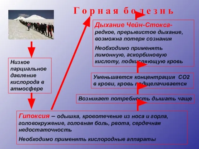 Низкое парциальное давление кислорода в атмосфере Гипоксия – одышка, кровотечение из носа