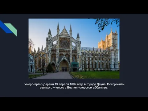 Умер Чарльз Дарвин 19 апреля 1882 года в городе Дауне. Похоронили великого ученого в Вестминстерском аббатстве.