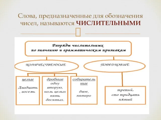 Слова, предназначенные для обозначения чисел, называются ЧИСЛИТЕЛЬНЫМИ