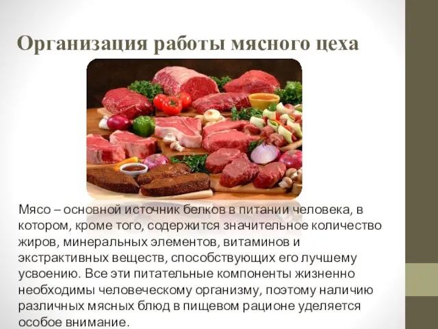 Организация работы мясного цеха Мясо – основной источник белков в питании человека,