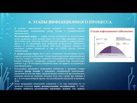 4. ЭТАПЫ ИНФЕКЦИОННОГО ПРОЦЕССА В развитии инфекционной болезни выделяют 4 основных периода: