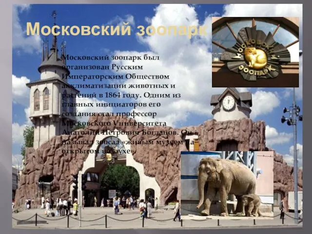 Московский зоопарк Московский зоопарк был организован Русским Императорским Обществом акклиматизации животных и
