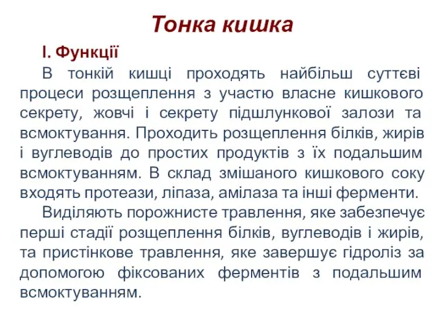 Тонка кишка І. Функції В тонкій кишці проходять найбільш суттєві процеси розщеплення