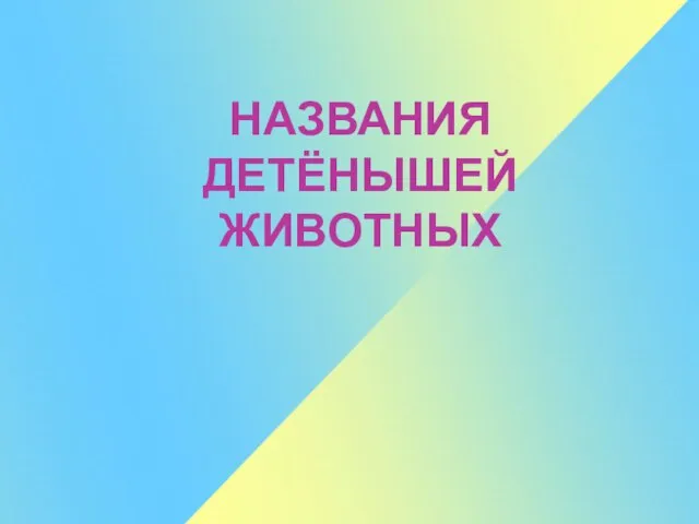 НАЗВАНИЯ ДЕТЁНЫШЕЙ ЖИВОТНЫХ