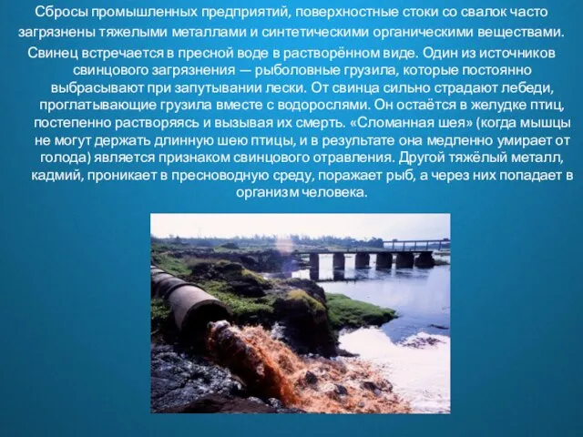 Сбросы промышленных предприятий, поверхностные стоки со свалок часто загрязнены тяжелыми металлами и