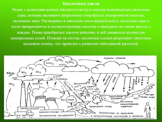 Кислотные дожди Рядом с медеплавильными заводами в воздухе высока концентрация диоксидов серы,