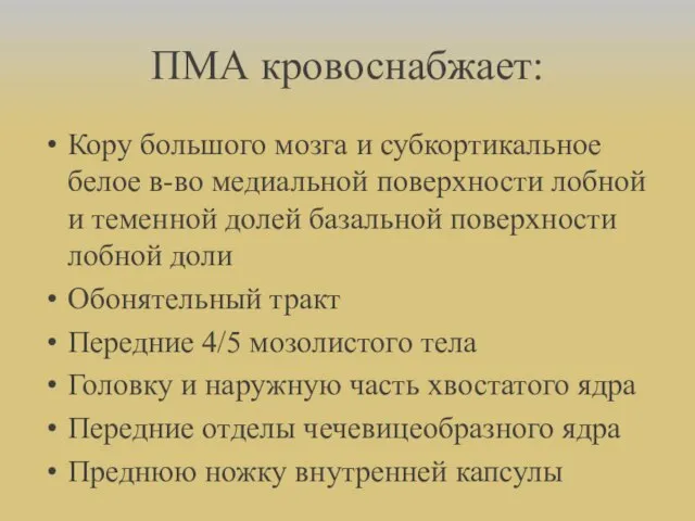 ПМА кровоснабжает: Кору большого мозга и субкортикальное белое в-во медиальной поверхности лобной