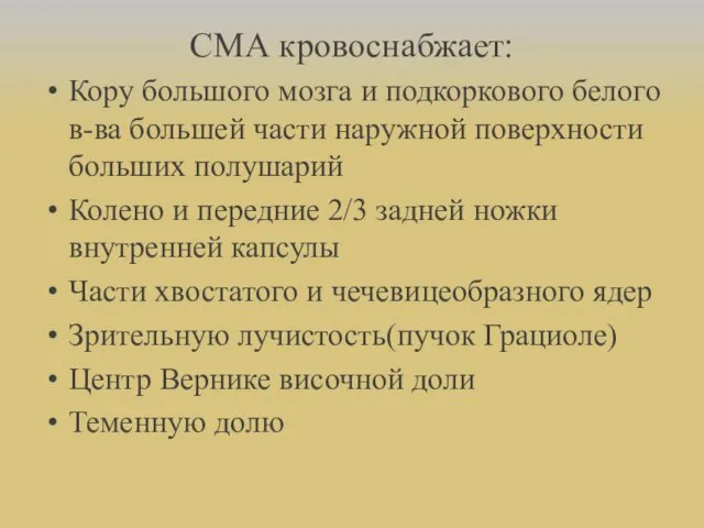 СМА кровоснабжает: Кору большого мозга и подкоркового белого в-ва большей части наружной