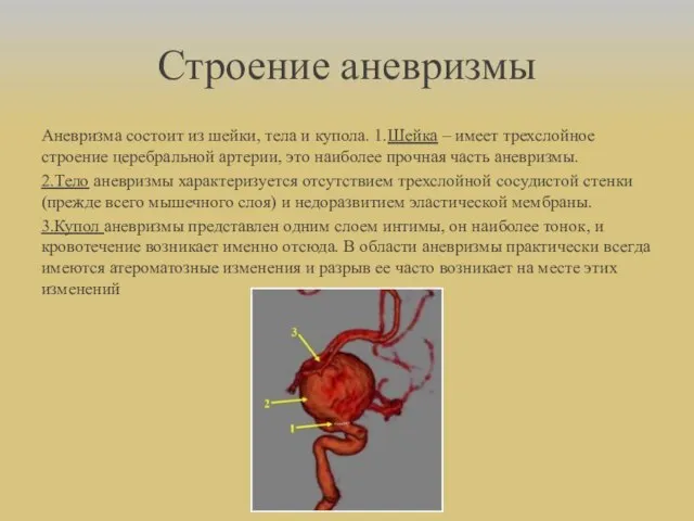 Строение аневризмы Аневризма состоит из шейки, тела и купола. 1.Шейка – имеет